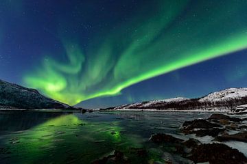 Lumière polaire nordique de l'aurore en ciel de nuit au-dessus de la Norvège nordique