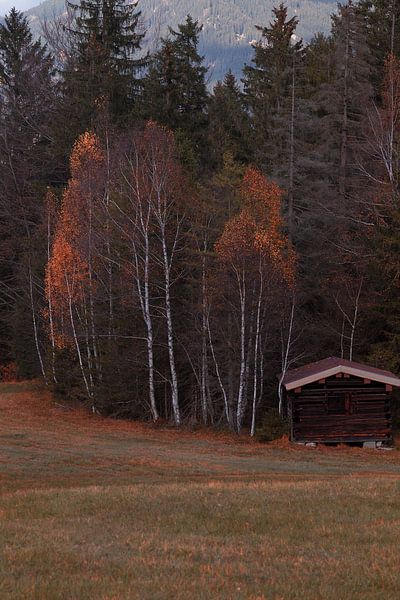 Herbsthütte von Thomas Heitz