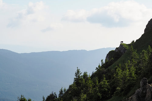 Het natuurpark Ammergauer Alpen is een van de mooiste landschappen in Beieren. Het combineert ongerepte natuur, afwisselende berglandschappen en traditionele alpenweiden.