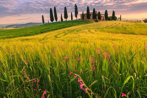 Podere I Cipressini, Toscane