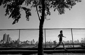 New York - Round Central Park by Raoul Suermondt