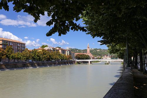 Verona