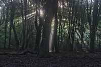 Licht komt van ver