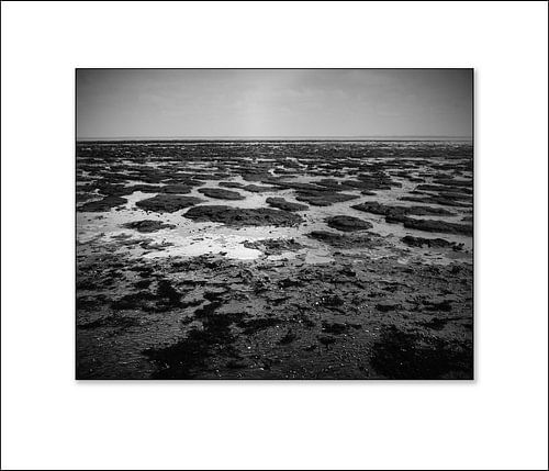 La mer des Wadden près de Moddergat 3