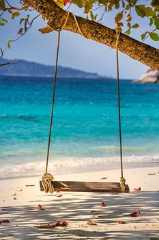 Wooden swing on the beach