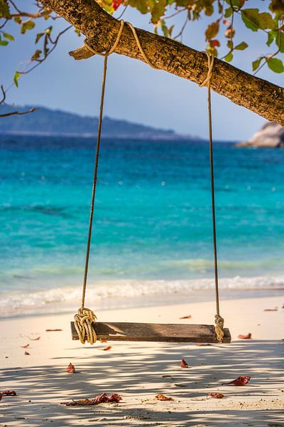 Wooden swing on the beach by Uwe Merkel