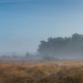 Natuur op z'n mooist van Mart Houtman