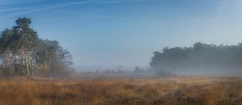 Natuur op z'n mooist