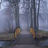 Pont jaune par un matin brumeux d'hiver sur Cor de Hamer
