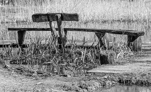 Ruw houten bankje van Wijbe Visser