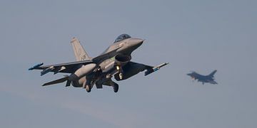 Frisian Flag 2017 (J-135)