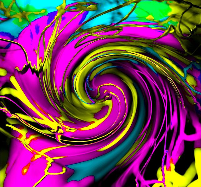 The whirlwind of life by Rudi Lippi