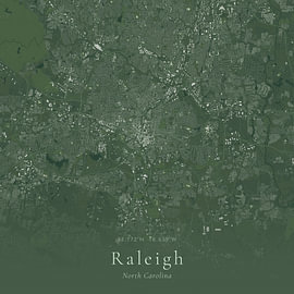 Historische Landkarte von Raleigh, Vereinigte Staaten von Ortsdrucke