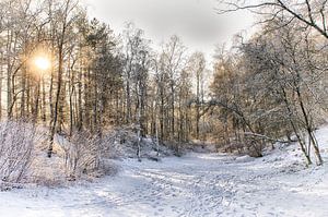 Winterwetter in den Niederlanden von Mark Bolijn