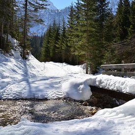 Pont enneigé au-dessus d'un ruisseau de montagne sur Fred van Bergeijk