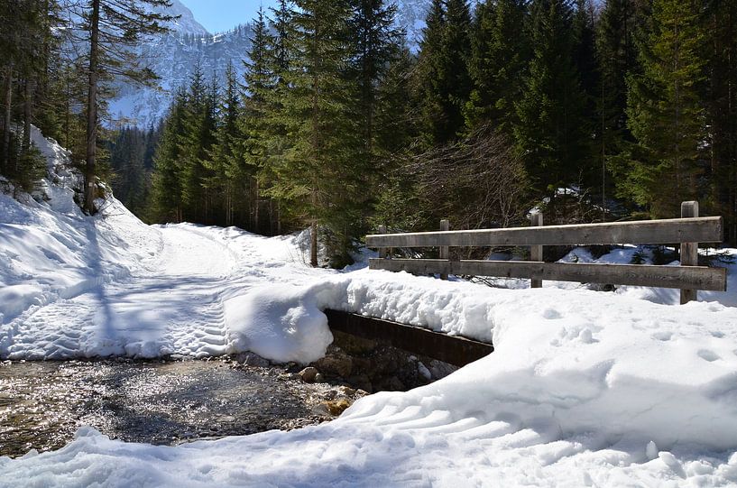 Schneebedeckte Brücke über Gebirgsbach von Fred van Bergeijk