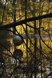Kunst in de herfst by Daniël Brinkman