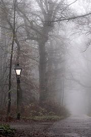 Laternenmast im Nebel von Tania Perneel