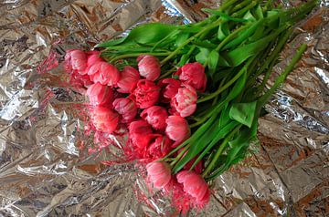 Gefüllte Tulpen von Thomas Jäger