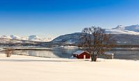 Winter auf der Insel Senja, Norwegen von Adelheid Smitt Miniaturansicht