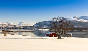 Winter auf der Insel Senja, Norwegen