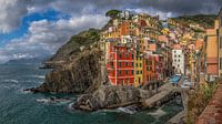 Riomaggiore - Wide View van Teun Ruijters thumbnail
