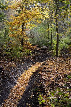 Autumn landscape with trees and a ditch by Peter de Kievith Fotografie