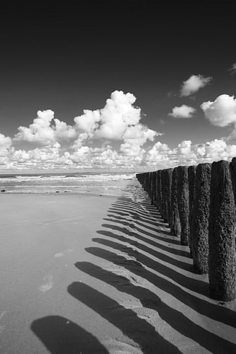 Wooden groynes on the beach at Breskens