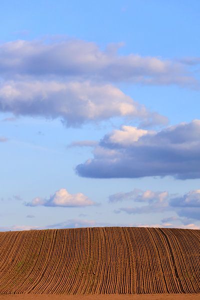 Landscape by Thomas Jäger