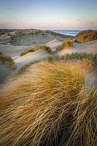 Dünen und Meer an der niederländischen Küste von Dirk van Egmond