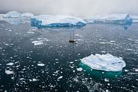 Sailing boat between ice floes in Greenland by Martijn Smeets thumbnail