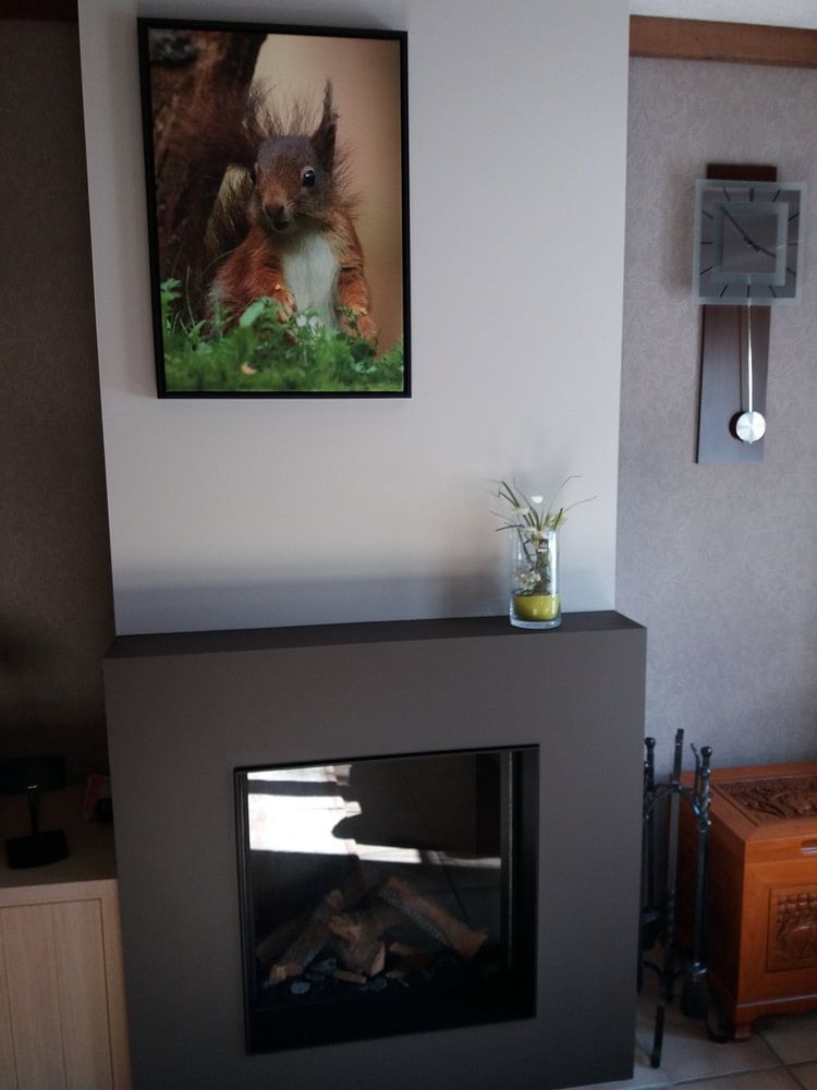 Eichhörnchen  von Wouter Midavaine 