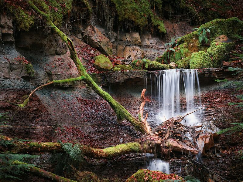 In the Wieslauf Gorge by Max Schiefele