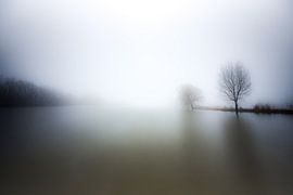 Meinerswijk Uiterwaardenpark, Arnheim von Eddy Westdijk