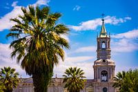 Kathedrale mit Palmen auf der Plaza de Armas in Arequipa, Peru
