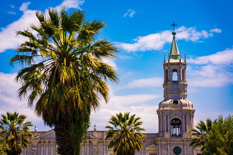 Kathedrale mit Palmen auf der Plaza de Armas in Arequipa, Peru von John Ozguc
