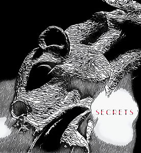 Secrets, Motiv 10