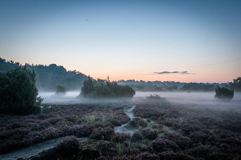 Terhorst Sand, Drenthe von Fenna Duin-Huizing
