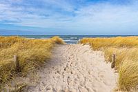 Strand aan de kust van de Baltische Zee bij Graal Müritz