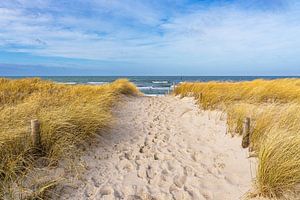 Strand an der Küste der Ostsee in der Nähe von Graal Müritz