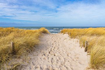 Strand aan de kust van de Baltische Zee bij Graal Müritz van Rico Ködder