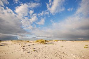 Strand Schiermonnikoog