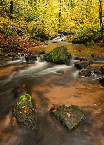 Idyllisch beekje in de Karlsthal kloof