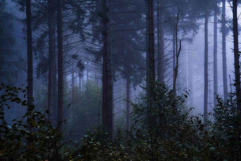 Mystiek gevoel van Joran Quinten