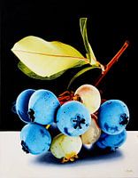 Blueberry branch