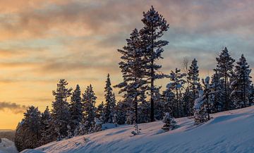 Winter in Noord Zweden van Adelheid Smitt