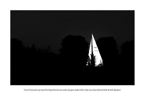 Wie Autismus aussieht: Fokus