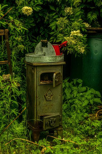 Mit Analogen Objektiv Wald Blume Wiese Feld Nebel von Johnny Flash