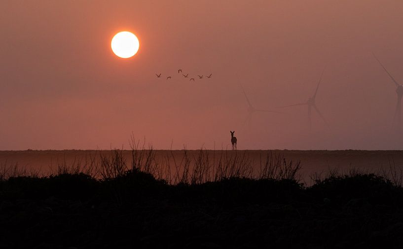 Dawn has gold in its mouth by Gersom Barendregt
