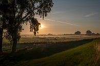 Skyline Rijswijk Gelderland von Moetwil en van Dijk - Fotografie Miniaturansicht